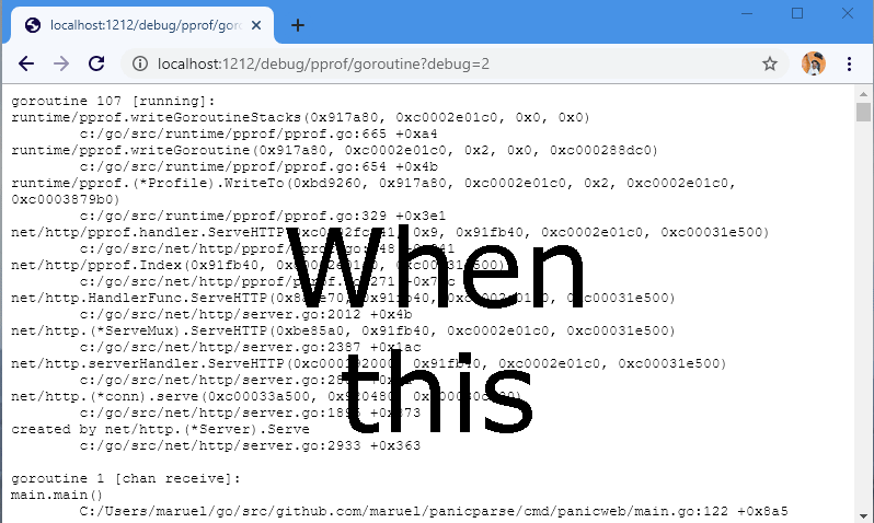 Slide: Panicparse web output